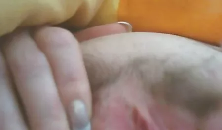 آگوست فیلم سکی