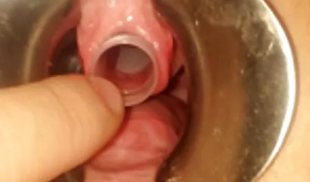 ضرب عکس سکسی در حمام و شتم عمومی در زن و شوهر جوان مشغول سفر در سراسر مرز