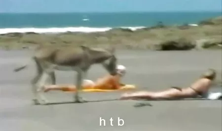 پیاف سکس با خانواده فرشته