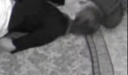 نیکل شلبی عکس کیر کس
